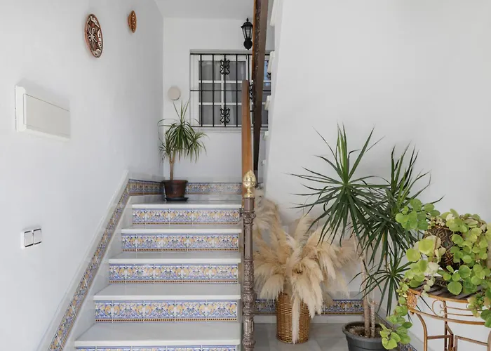 Apartment Sol 2d - Solo Familias O Parejas Conil De La Frontera